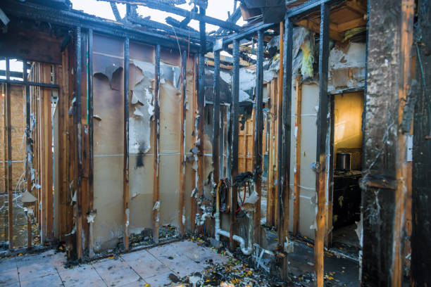 Professional Fire Damage Removal technician working in Black Diamond, WA