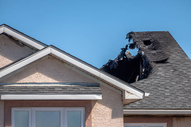 Top rated local Fire Damage Removal specialists in Black Diamond, WA